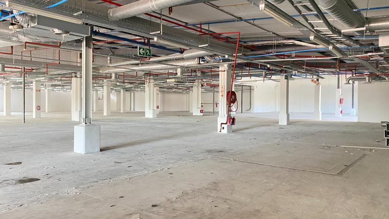 To Let commercial Property for Rent in Observatory Western Cape